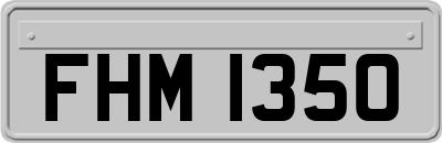 FHM1350