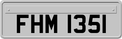 FHM1351