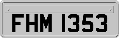 FHM1353