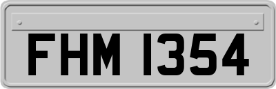 FHM1354