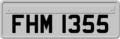 FHM1355