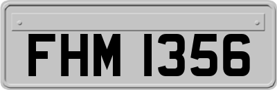 FHM1356