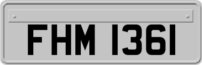FHM1361