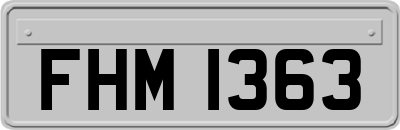 FHM1363