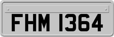 FHM1364