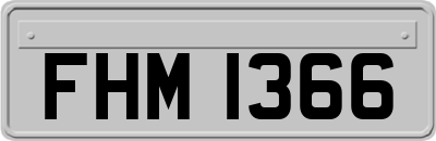 FHM1366