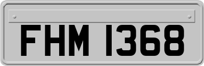 FHM1368