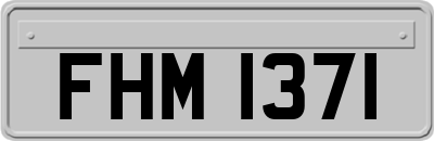 FHM1371