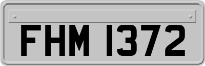 FHM1372