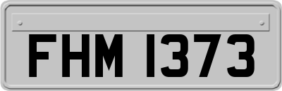 FHM1373