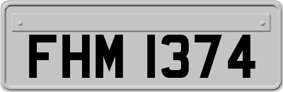 FHM1374