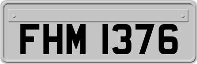 FHM1376