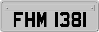 FHM1381