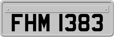 FHM1383