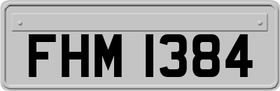 FHM1384
