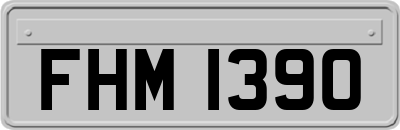 FHM1390