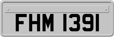 FHM1391