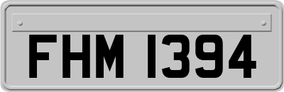 FHM1394