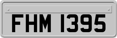 FHM1395