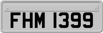 FHM1399