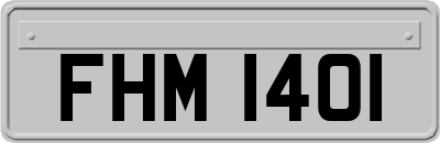 FHM1401