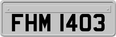 FHM1403