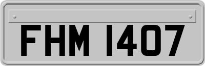 FHM1407