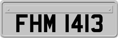 FHM1413