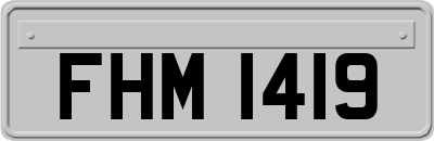 FHM1419