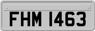 FHM1463