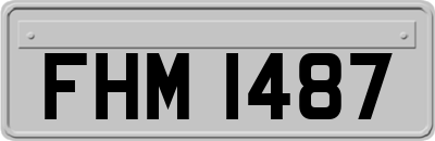 FHM1487