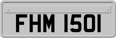 FHM1501