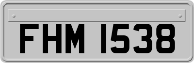 FHM1538