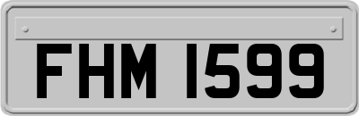 FHM1599