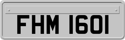 FHM1601