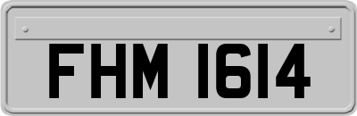 FHM1614