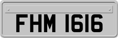 FHM1616