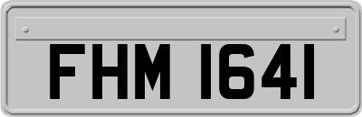 FHM1641