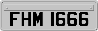 FHM1666