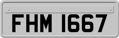 FHM1667