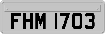 FHM1703