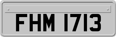 FHM1713