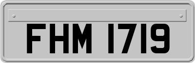 FHM1719