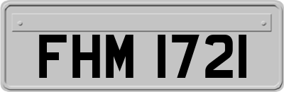 FHM1721