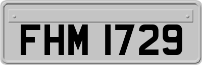 FHM1729