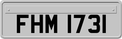 FHM1731