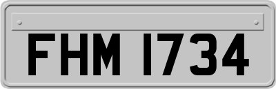 FHM1734