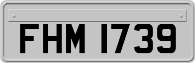 FHM1739