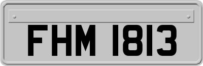 FHM1813