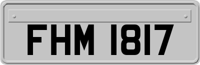 FHM1817